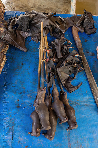 bats and their wings at meat market, bada valley, bat meat, black flying foxes, black fruit bats, bushmeat, meat market, meat shop, pteropus alecto, raw meat, singed